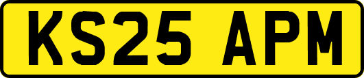 KS25APM