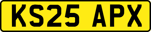 KS25APX