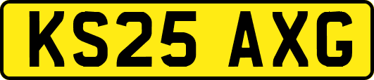KS25AXG