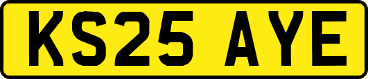 KS25AYE