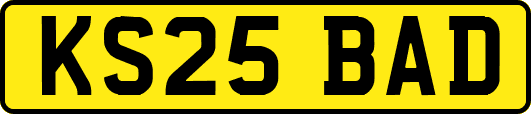 KS25BAD