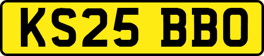 KS25BBO