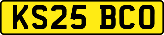 KS25BCO