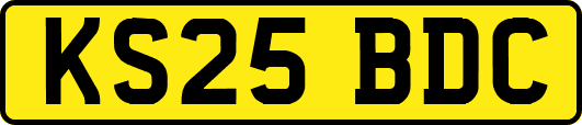 KS25BDC