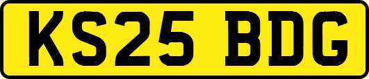 KS25BDG