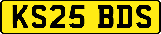 KS25BDS