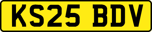 KS25BDV