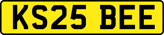 KS25BEE