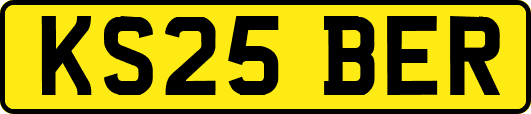 KS25BER
