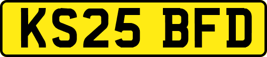 KS25BFD