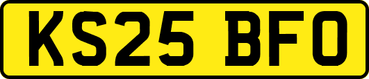 KS25BFO