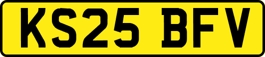 KS25BFV
