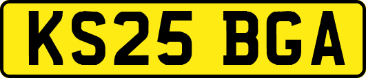 KS25BGA