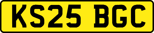 KS25BGC