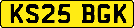 KS25BGK