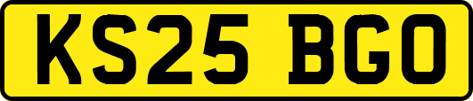 KS25BGO