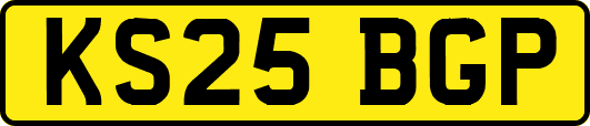 KS25BGP
