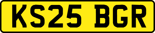 KS25BGR