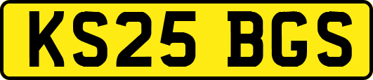 KS25BGS