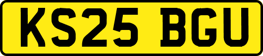 KS25BGU