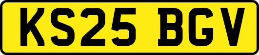 KS25BGV
