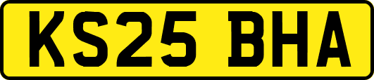KS25BHA