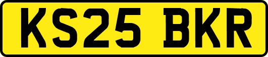KS25BKR