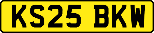 KS25BKW