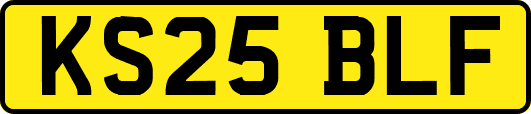 KS25BLF