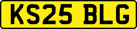 KS25BLG