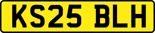 KS25BLH