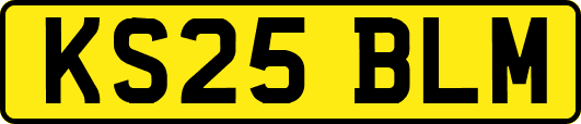 KS25BLM