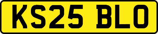 KS25BLO