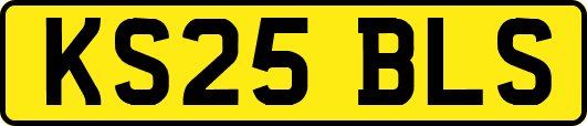 KS25BLS
