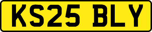 KS25BLY