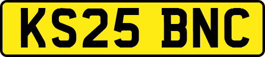 KS25BNC
