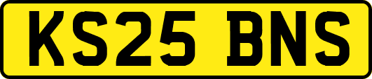 KS25BNS