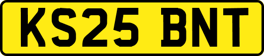 KS25BNT