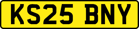 KS25BNY