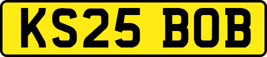 KS25BOB