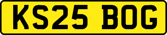 KS25BOG