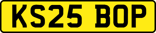 KS25BOP