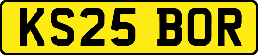 KS25BOR