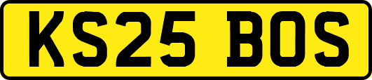 KS25BOS