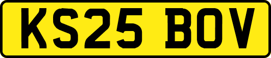 KS25BOV