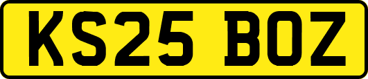 KS25BOZ