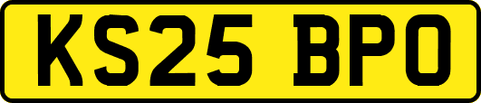 KS25BPO
