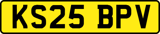 KS25BPV
