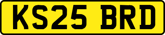 KS25BRD