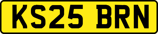 KS25BRN